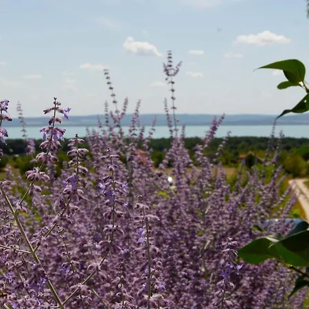 Fuerjes Udvarhaz Konukevi 3*