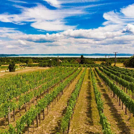 Fuerjes Udvarhaz בית הארחה