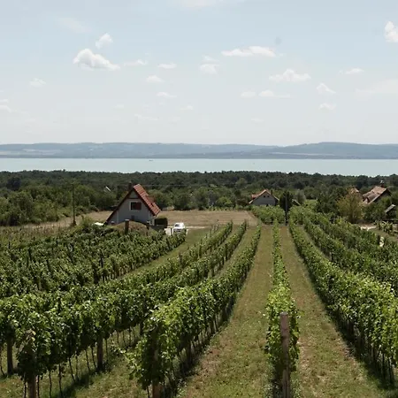 Fuerjes Udvarhaz Penzion