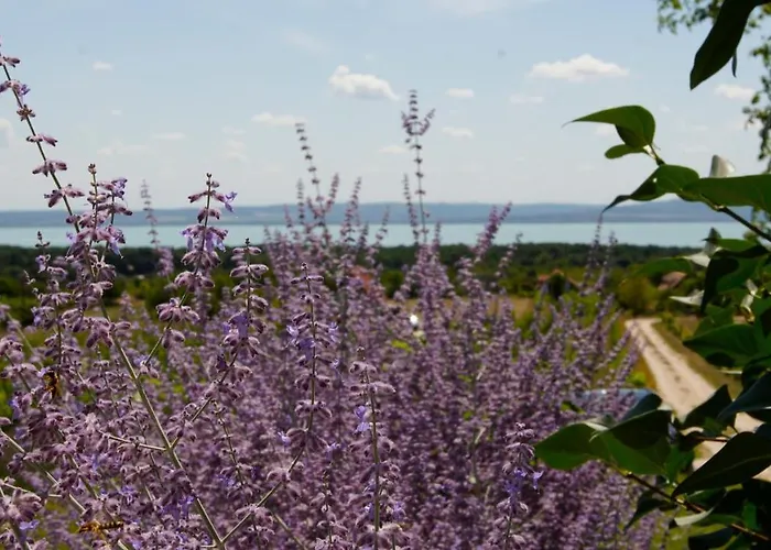 Fuerjes Udvarhaz ゲストハウス 3*