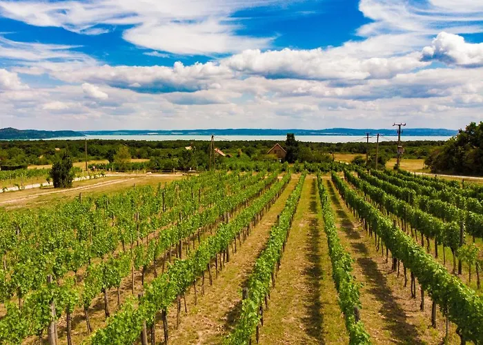 Fuerjes Udvarhaz ゲストハウス