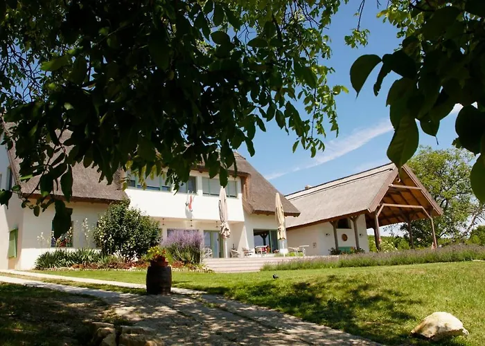 Fuerjes Udvarhaz Vászoly