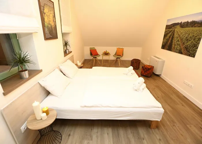 בית הארחה Fuerjes Udvarhaz 3*